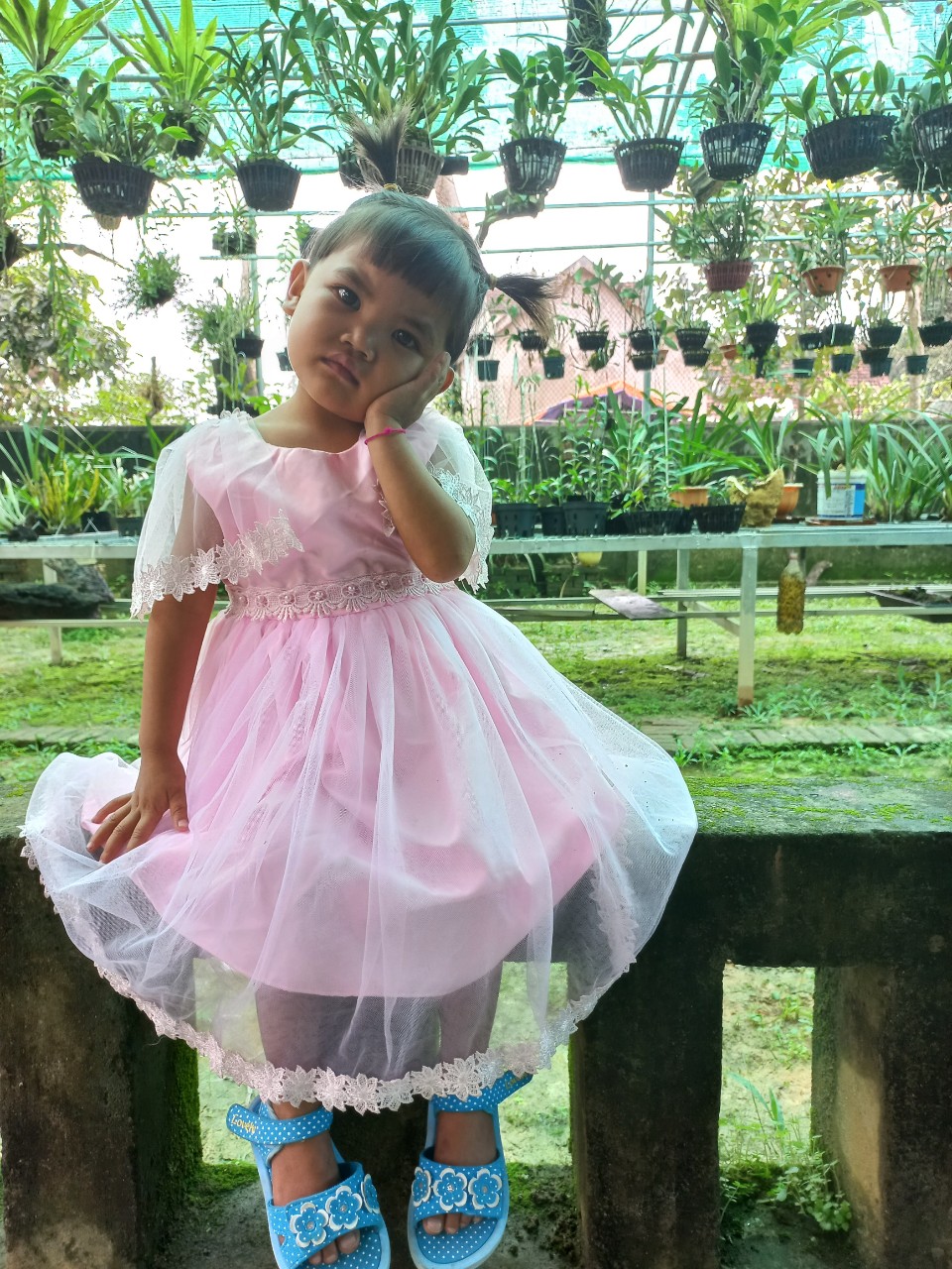 0d89b232a47751290866.