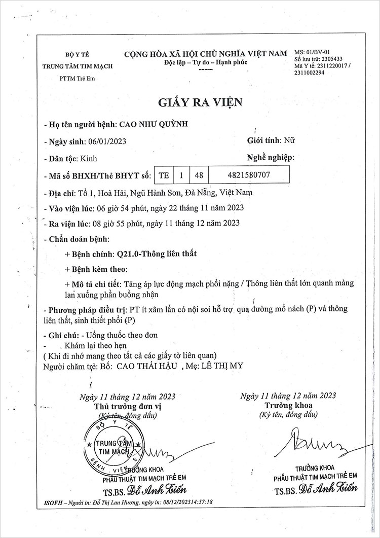 CAO-NHU-QUYNH---GRV.