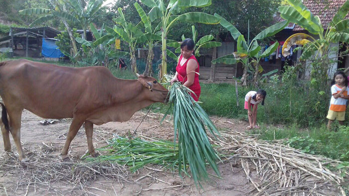 da-kho-2.