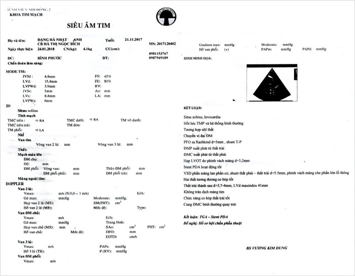 dang-ha-nhat-anh-2b.