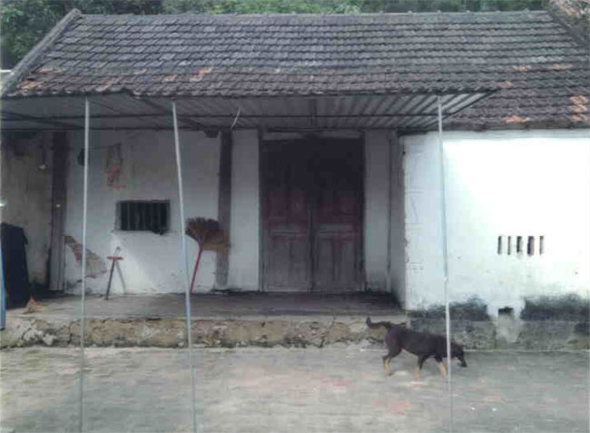 dang-thi-thuy-linh-2.