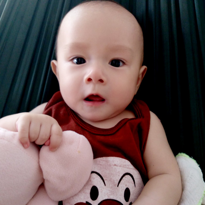 fc4728792727e679bf36.