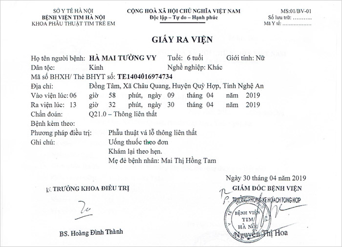 ha-mai-tuong-vy-rv.