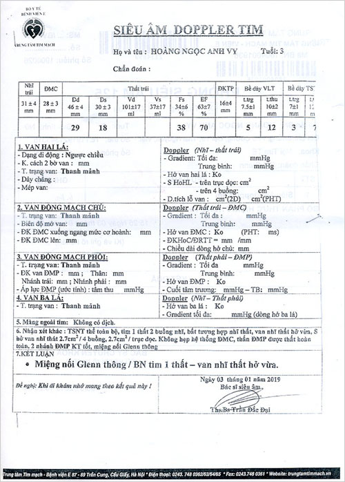 hoang-ngoc-anh-vy-02.