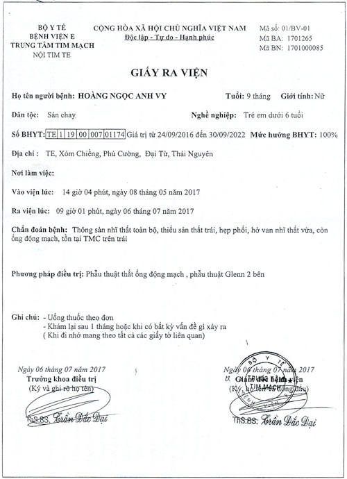 hoang-ngoc-anh-vy-rv.