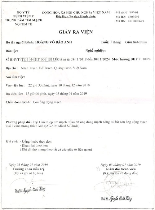 hoang-vo-bao-anh-rv.