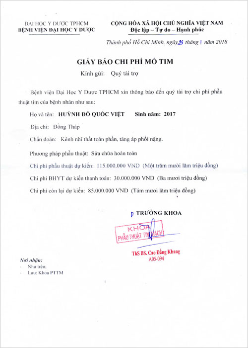 huynh-do-quoc-viet-02.