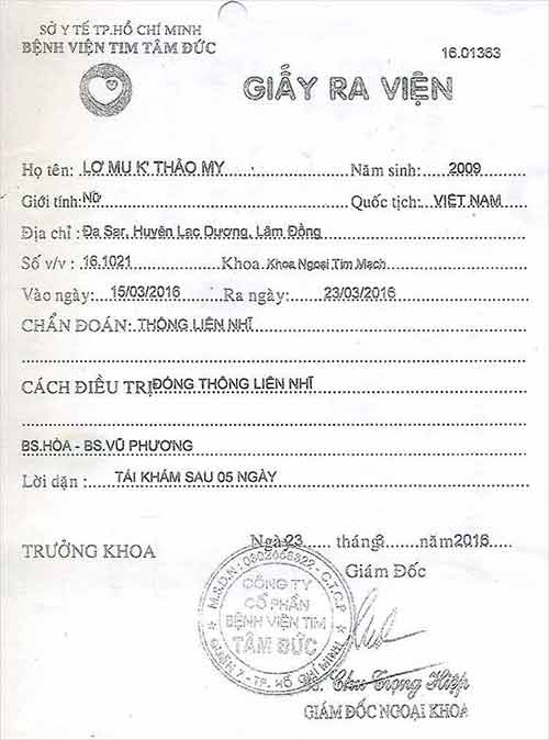 lo-mu-k-thao-my-grv.