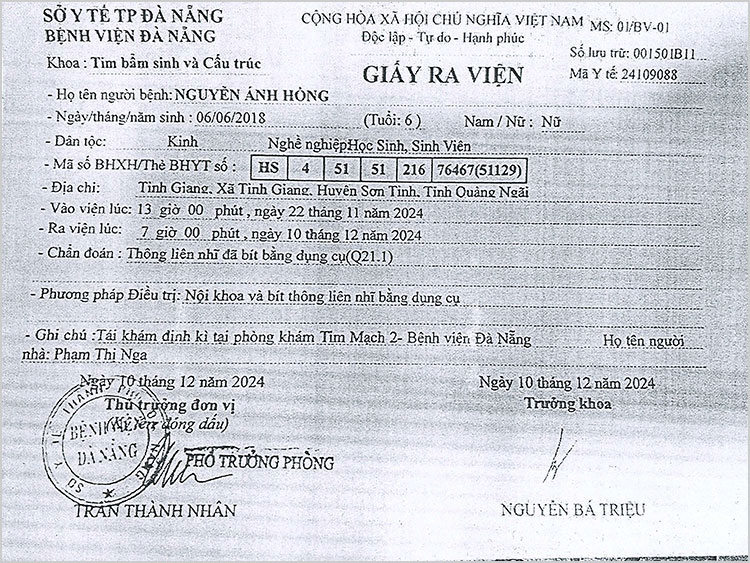 NGUYEN-ANH-HONG---GRV.