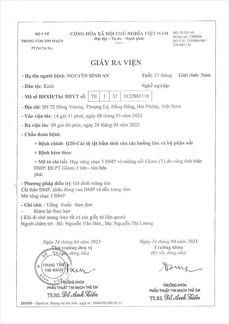 NGUYEN-BINH-AN---GRV.