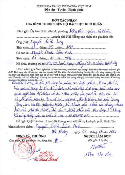 nguyen-dinh-lam-anh-01.