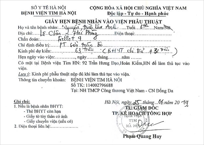 nguyen-dinh-lam-anh-02.