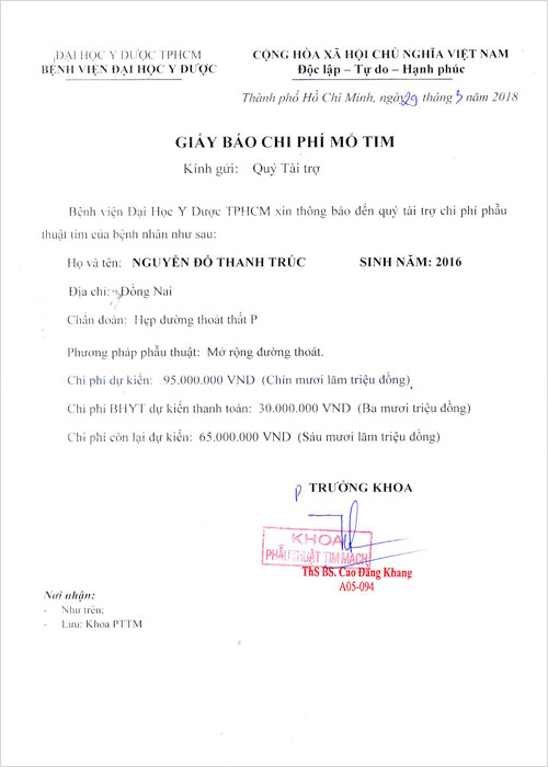 nguyen-do-thanh-truc-02.