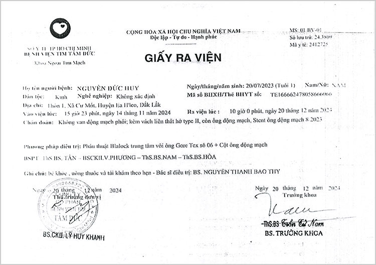 NGUYEN-DUC-HUY---GRV.