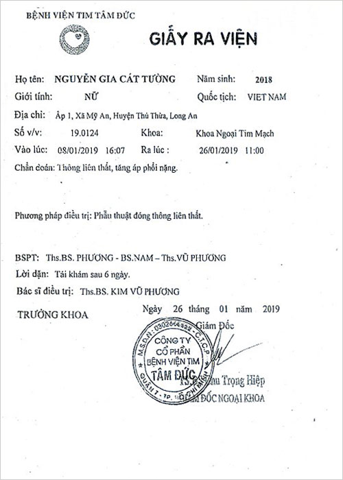 nguyen-gia-cat-tuong-rv.