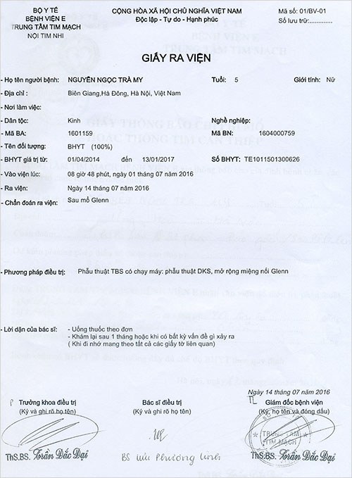 nguyen-ngoc-tra-my-06.