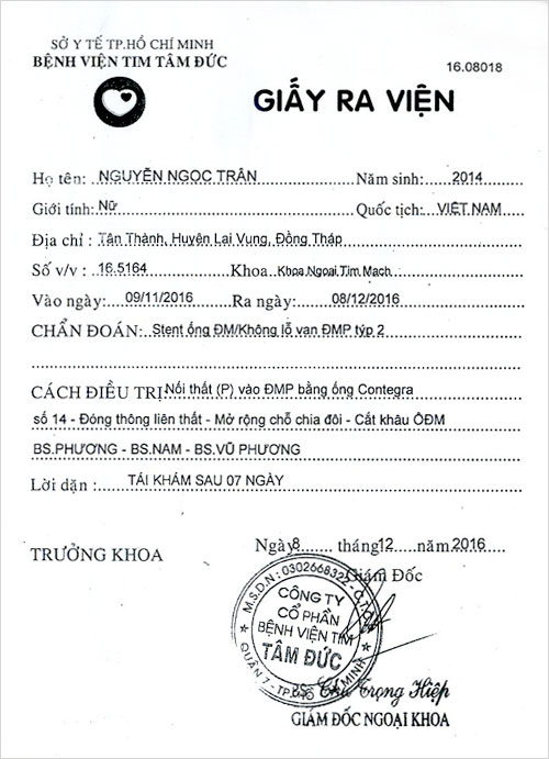 nguyen-ngoc-tran-rv.