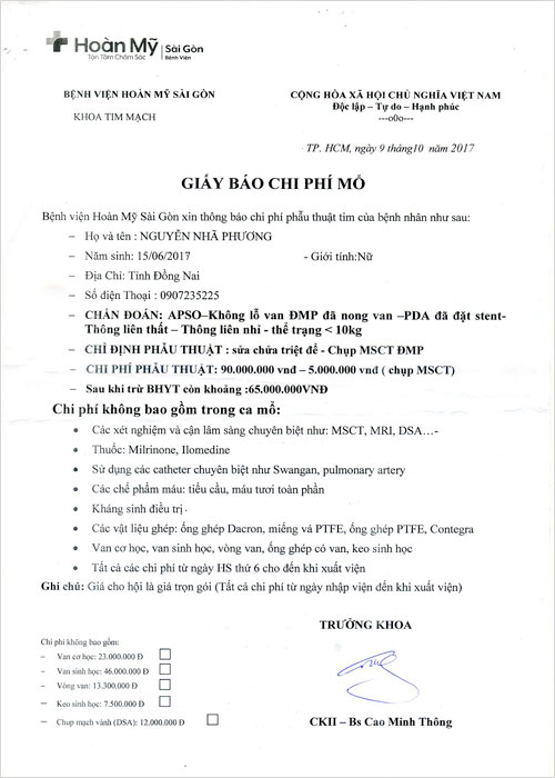 nguyen-nha-phuong-02.