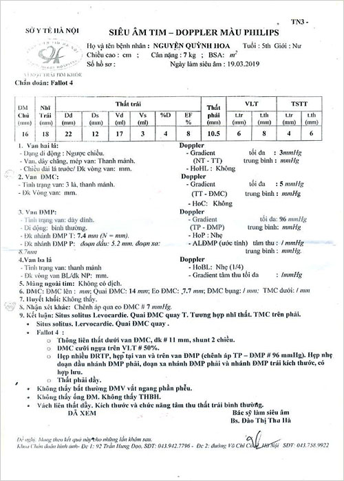 nguyen-quynh-hoa-02.