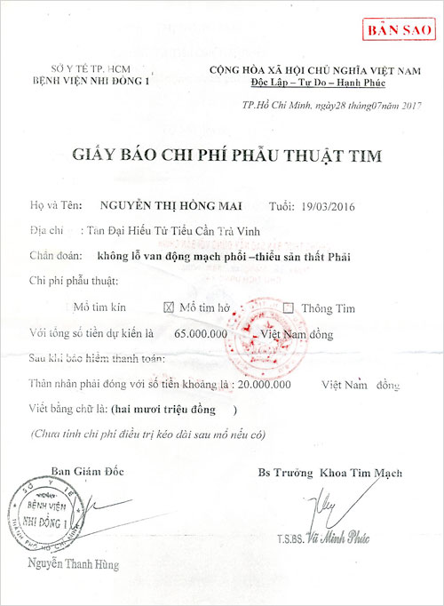 nguyen-thi-hong-mai-02.