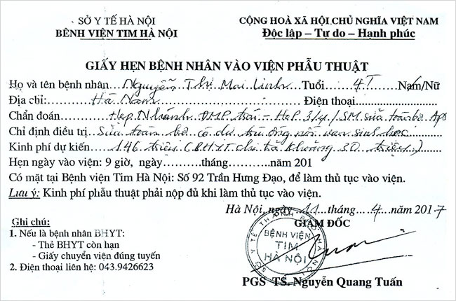 nguyen-thi-mai-linh-02.