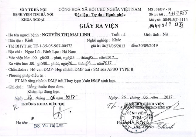 nguyen-thi-mai-linh-rv.