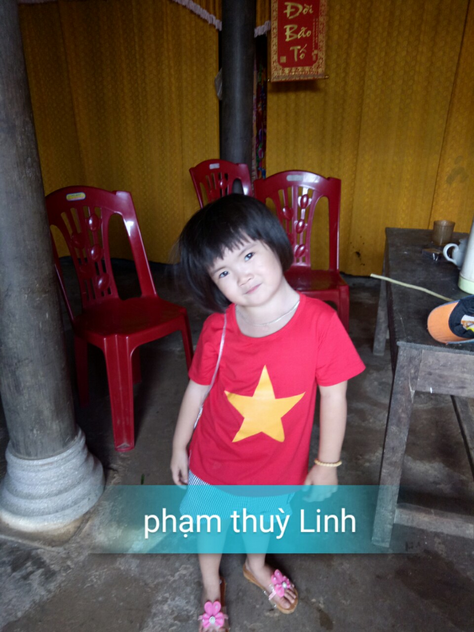 Pham Thuy Linh.