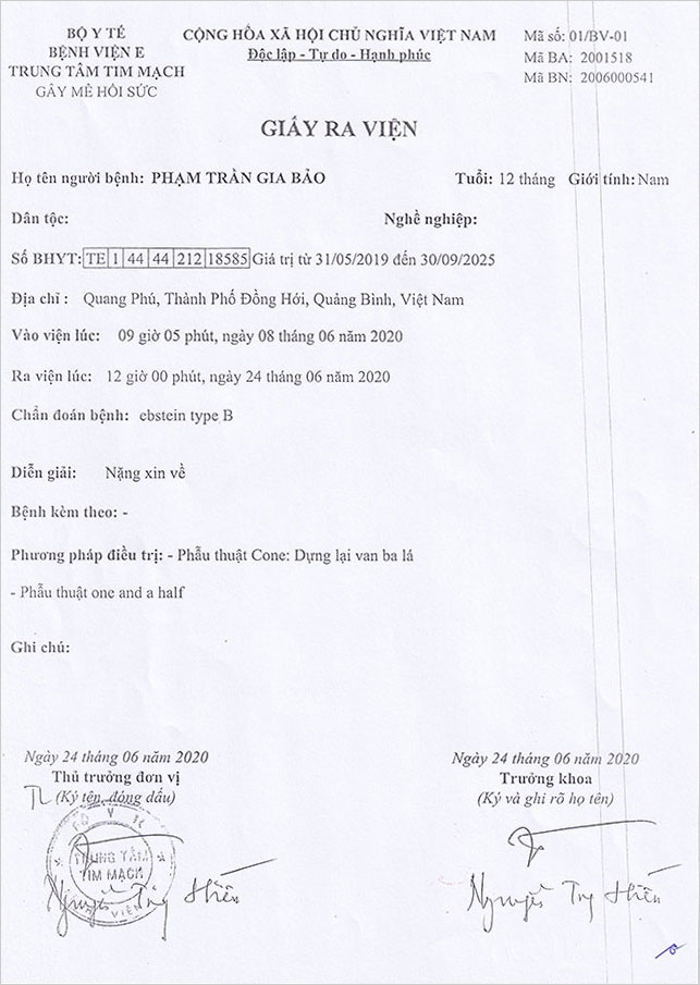 PHAM-TRAN-GIA-BAO-GRV.