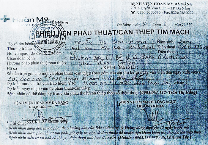 tran-thi-bich-hanh-02.