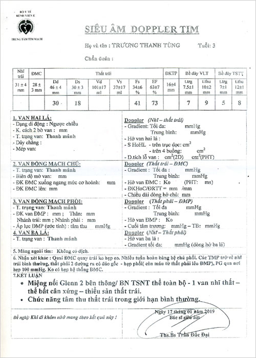 truong-thanh-tung-02.