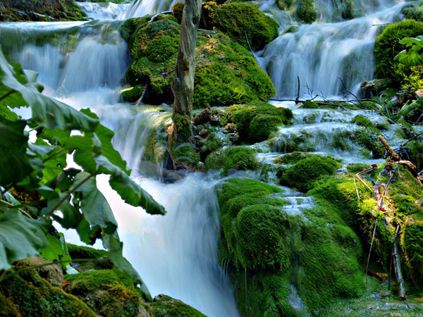 vuon_quoc_gia_Plitvice_19.