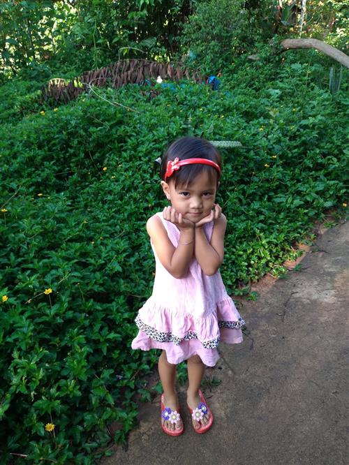 Y-Le-Tram-01 (Custom).