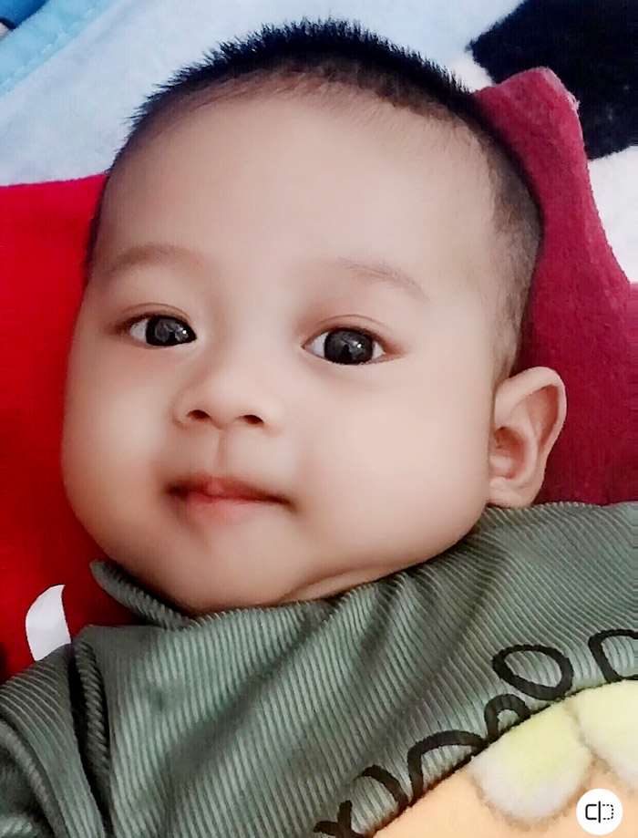 z4933311010048_87a502241a9d847b6489dedd51f3629a.