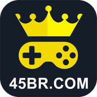 45brbet net