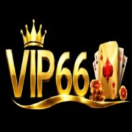 vip66vnnet