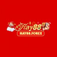 hay88forex