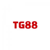 tg88voto